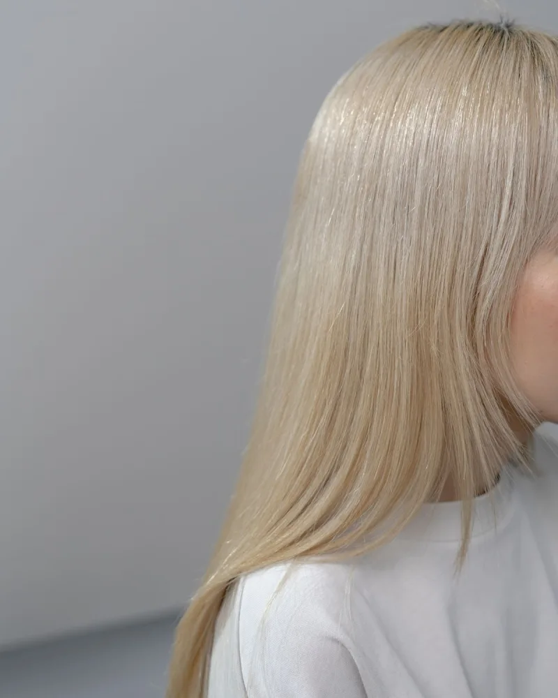 Highlights